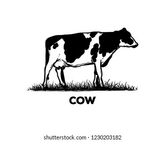 Silhouette Vector Black Cow Sign Symbol Icon Animal Livestock Logo Template Design Inspiration