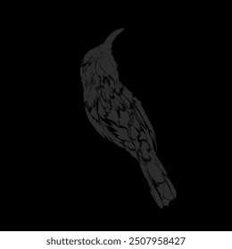 Vector de silueta negro sombra en forma de colibrí sin fondo