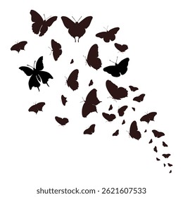 Silhouette vector of cluster butterflies in flight isolated