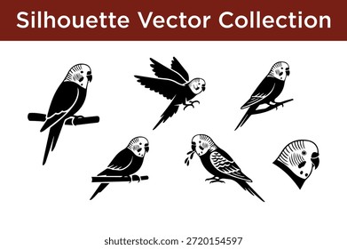 Colección de Vector de la silueta de pájaros aislados en el fondo blanco
