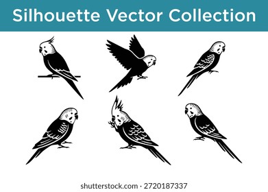 Colección de Vector de la silueta de pájaros aislados en el fondo blanco