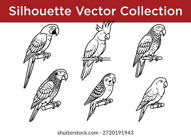 Silhueta coleção vetorial de aves isoladas sobre fundo branco