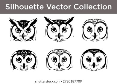 Colección de Vector de la silueta de búhos aislados en el fondo blanco