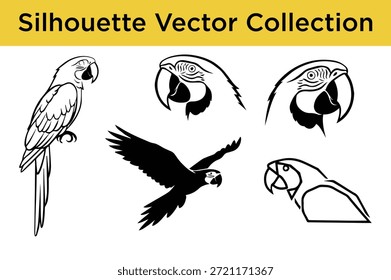 Silhouette vector collection of parrots isolated on white background, Vector