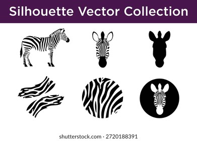 Colección de Vector de la silueta de cebras aisladas en el fondo blanco