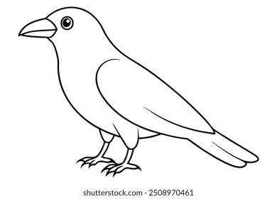 a silhouette vector crow line art vector on white background