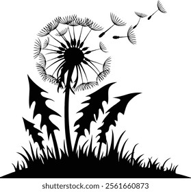 a silhouette vector of dandelion flower