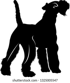 silhouette vector dog breed Fox Terrier