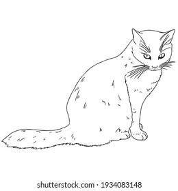 177,406 Cat sketch Images, Stock Photos & Vectors | Shutterstock
