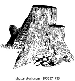 Silhouette vector drawing of a tree stump covered with mushrooms, isolate on a white background. Flat illustration. Great element for design or tattoo .