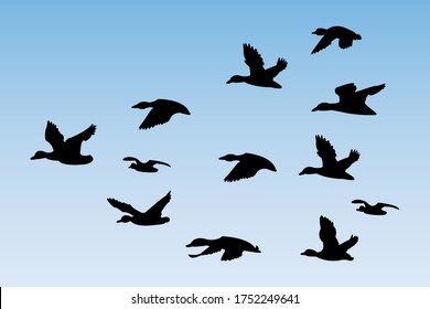 Silhouette vector of a flying duck.