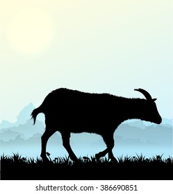 Silhouette of vector goat with grass and flowers on morning background