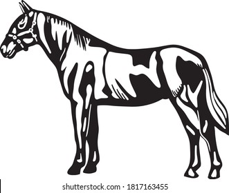 a silhouette vector of horse