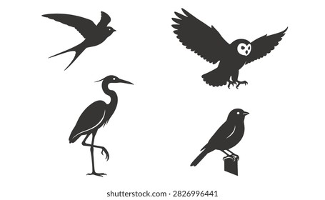 Silhouette vector icons of different wild birds including a flying owl, a standing heron, a swallow, and a perched songbird.