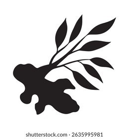 "Silhouette vector illustration of black ginger on a white background."
