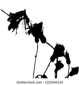 Silhouette. Vector illustration. Bush with flowers and buds. Flowering branches against the sky. Black on white. Isolated background. Wildflowers. Meadow. Seeds. Medicinal plant. Botany.