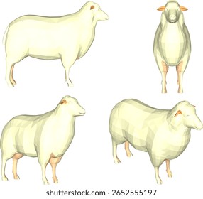 silhueta vetor ilustração projeto de criação de ovino para animais de estimação e carnes de animais