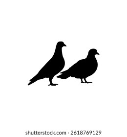 a silhouette vector illustration featuring two pigeons standing against a white background, perfect for graphic design and nature related projects.