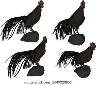 ilustração vetor silhueta de um projeto de animal de galo serama com uma bela cauda de pé orgulhosamente cortando longo e alto 