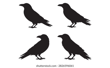 A Silhouette vector illustration set of four crow bird birds silhouettes including white background.