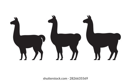 A Silhouette vector illustration set of three Llama silhouettes including white background.