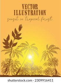 silhouette vector illustration.
sunset in tropical forest.