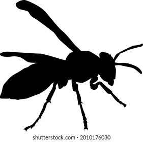 a silhouette vector illustration of a wasp.