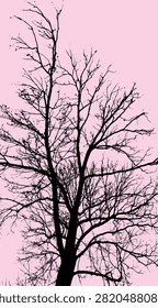 Silhouette vector image with one black tree on a white background - illustration.