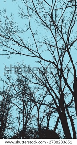 Silhouette vector images of branches stretching towards the sky - illustration.