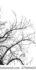 Silhouette vector images of long, oblique branches toward the sky - illustration.