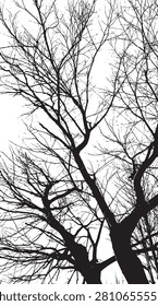 Silhouette vector images of long, oblique branches toward the sky - illustration.