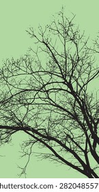 Silhouette vector images of long, oblique branches toward the sky - illustration.