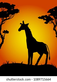 Silhouette of vector ink giraffe walking on sand in the desert surrounded by dry trees - poster for print. Hot Sunset in the African country.