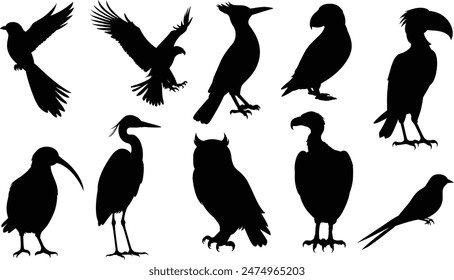 Silhouette vector set of birds