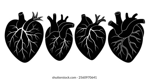 Silhouette vector set of coronary artery heart on white background