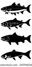 a silhouette vector of a six Salmon fish isolated on white background