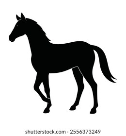Silhouette vector with white background