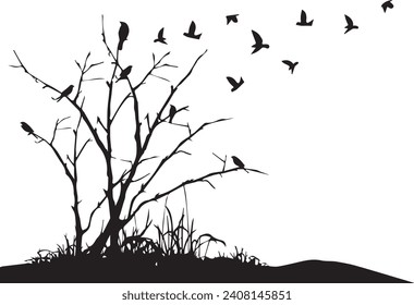 silhouette vector-bird, silhouette, eagle, vector, flying, illustration, wing, animal, birds, black, nature, tattoo, feather,	