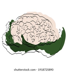 Silhouette de una verdura. Cauliflower. Ilustración vectorial.