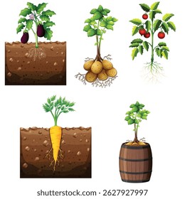 silhouette of a vegetable plants