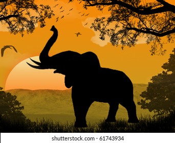 silhouette view of elephant at sunset, wildlife