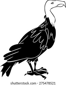 Silhouette of vulture