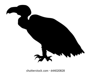 silhouette of vulture