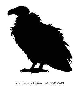 silhouette of vulture on white