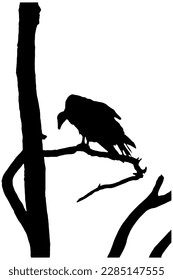 silhouette of a vulture sitting in a barren tree