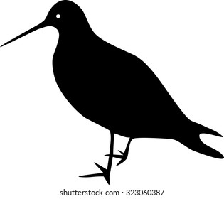 Silhouette of Wader