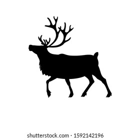 Silhouette of walking caribou reindeer. Vector illustration isolated on a white background