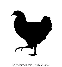 Silhouette of a walking chicken, side view. Icon of a hen standing on one leg. Vector illustration isolated on a white background