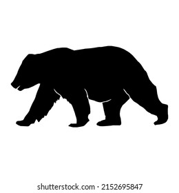 Silhouette Walking Grizzly Bear Isolated On Stock Vector (Royalty Free ...