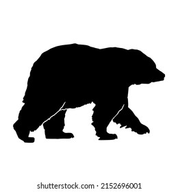 974 Grizzly Giant Images, Stock Photos & Vectors 